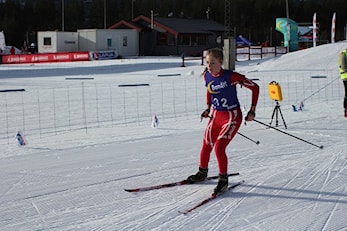 Krinsrenn på Ålandsleitet